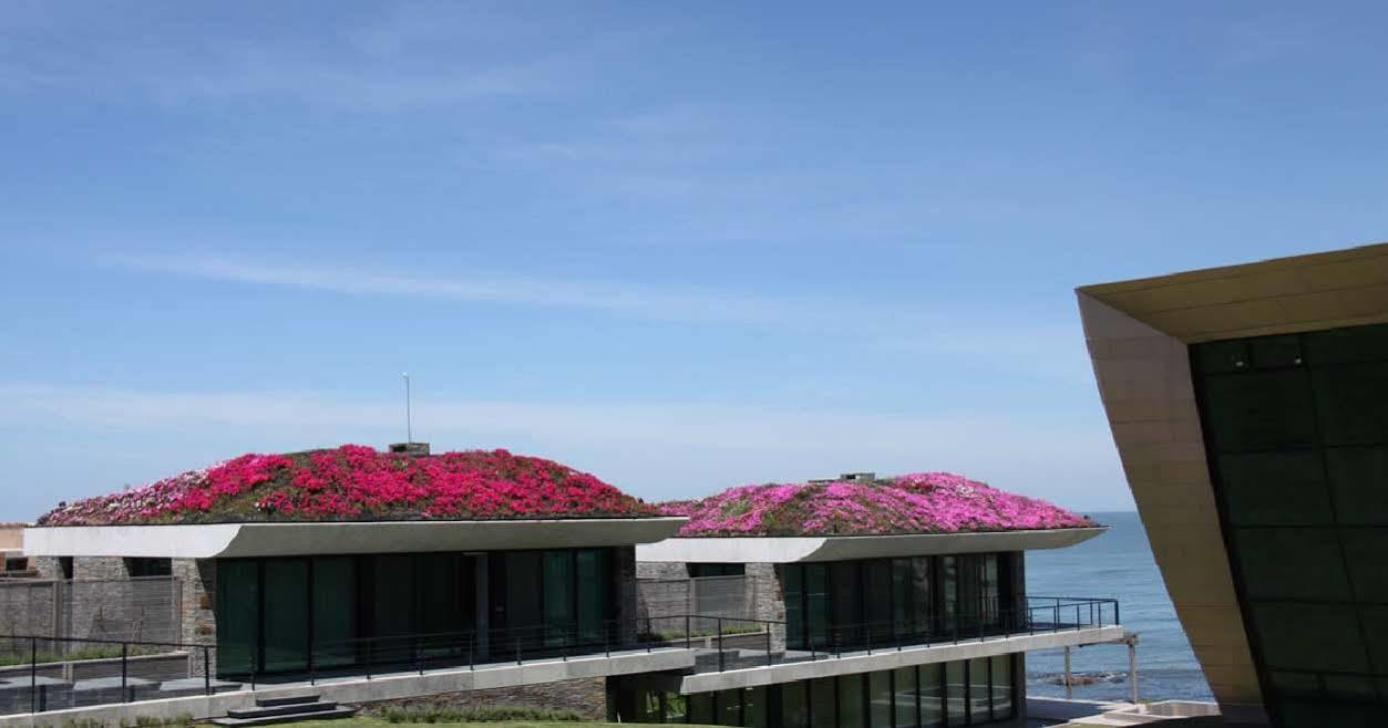 Playa Vik Jose Ignacio Villa Exterior foto